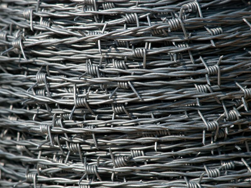 Barbed Wire